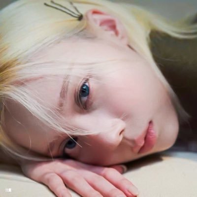 DC 윈터 갤러리's profile picture