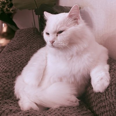 هـاجر 's profile picture