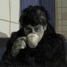 Profilbild von ebraim