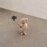 nana profil fotoğrafı