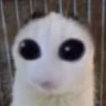 iam's profile picture