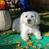 Lori's profile picture