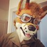 Profilbild von LoxLeeFox