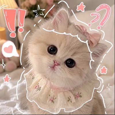 unggie.meow's profile picture