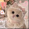 unggie.meow 的头像