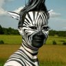 agyedabi 的头像