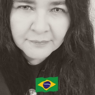Sol 🇧🇷🌻's profile picture