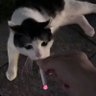 stephanL's profile picture