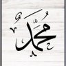 Фото профиля محمد .