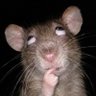 Peazy Izzy's profile picture