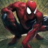 IronNightspider 的头像