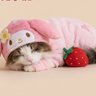 💜つな💜 profil fotoğrafı
