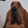 surge profil fotoğrafı