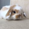 Profilbild von rosalyn