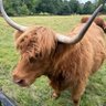 Profilbild von JToffy