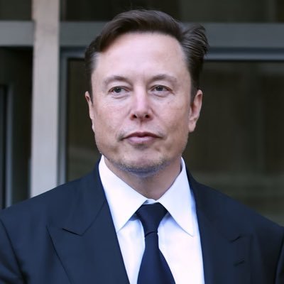 Reev Musk's profile picture
