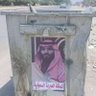 امير الباشا 的头像