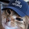 SurveillanceCatBot 的头像