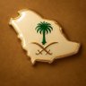 Profilbild von 💫Norht Star 🇸🇦