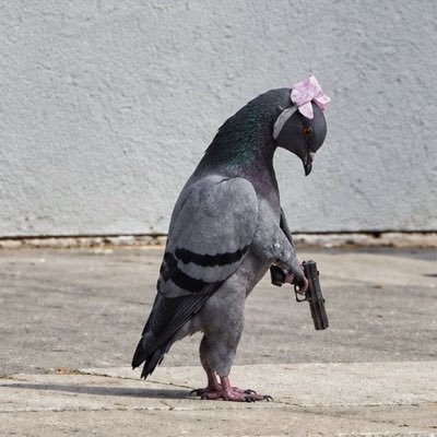 Biophilia_Hope's profile picture