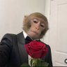 Kelszn♻️👾 profil fotoğrafı