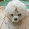 心凍 profil fotoğrafı