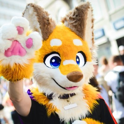 ecli_fox's profile picture