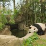 Braxton profil fotoğrafı