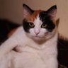 krr_ri profil fotoğrafı