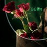 نوف🦋🇸🇦الله يرزقها🩵 profil fotoğrafı