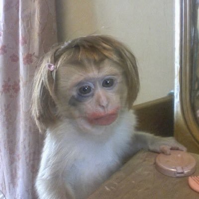 13 to 19's profile picture