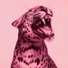 mr vvsxszn's profile picture