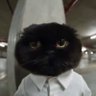 boboby's profile picture