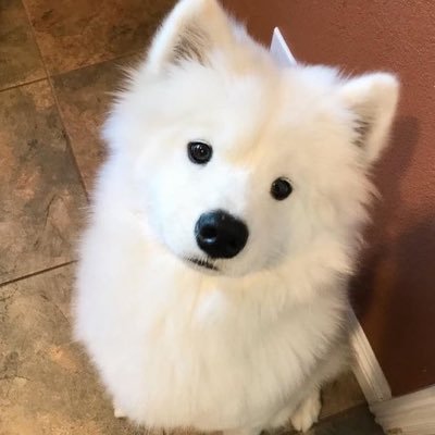 reflexongod's profile picture