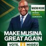 Maemu Ncube's profile picture