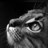 g1oss's profile picture