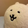 ポメラニアン大好きっ子's profile picture