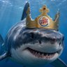 Great White Hope's profile picture
