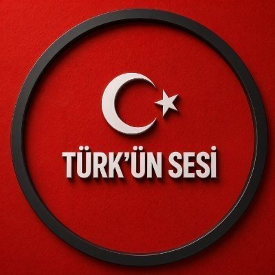 Türk'ün Sesi ☪︎'s profile picture