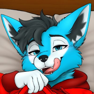FuzzyHusky2's profile picture