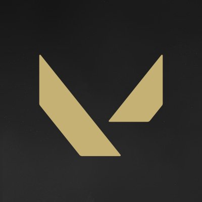 VALORANT's profile picture