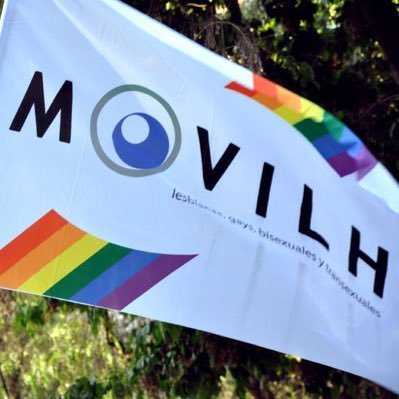 Movilh Chile's profile picture