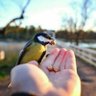Profilbild von raven