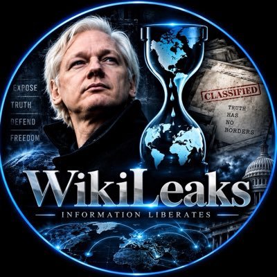 WikiLeaksQ's profile picture