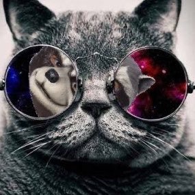 onryoo__'s profile picture