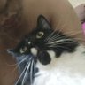 Profilbild von Enni
