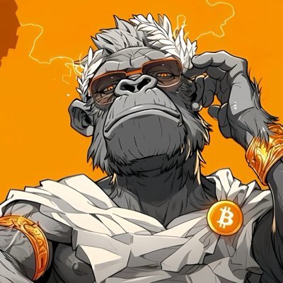 Meta 猿 🦍's profile picture