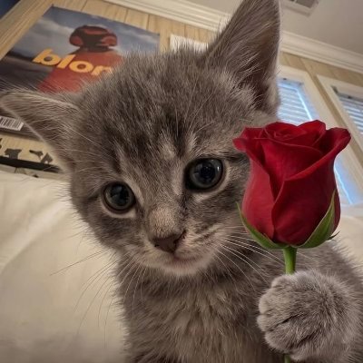_abhiiiiiiiii_'s profile picture