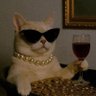 Profilbild von Catty😽