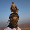 MOHAMED 的头像